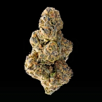 Colossal Purps Feminised (Mega Buds) Cannabis Seeds