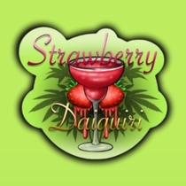 Strawberry Daiquiri Feminised (Conscious Genetics) Cannabis Seeds