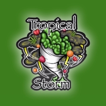 Tropical Storm Regular (Conscious Genetics) Cannabis Seeds