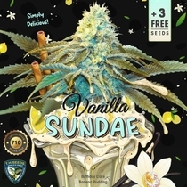 Vanilla Sundae feminised (TH Seeds) Cannabis Seeds