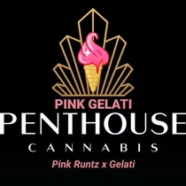 Pink Gelati auto feminised (Penthouse Cannabis Seeds) Cannabis Seeds