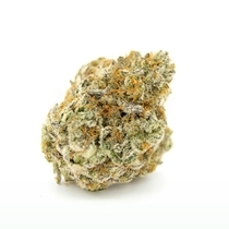 Forbidden Runtz Feminised (Growers Choice Seeds) Cannabis Seeds