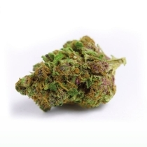 Red Banana Berry Double XL Auto (Growers Choice Seeds) Cannabis Seeds