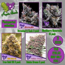 Feminized photoperiod selection (Anesia Seeds) Cannabis Seeds
