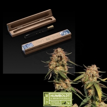 Humboldt x superior Blue Moby Feminised (SeedStockers Seeds)DAILYDEAL Cannabis Seeds