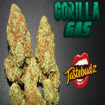 Gorilla Gas Auto Feminised (Taste-budz Seeds) Cannabis Seeds