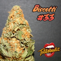 Biscotti #33 Auto Feminised (Taste-budz Seeds) Cannabis Seeds