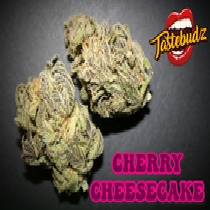 Cherry Cheesecake Auto feminised (Taste-budz Seeds) Cannabis Seeds