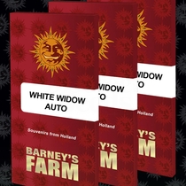 White Widow Auto Feminised (Barneys Farm Seeds) Cannabis Seeds