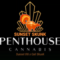 Sunset Skunk Auto Feminised (Penthouse Cannabis Seeds) Cannabis Seeds