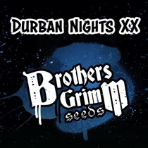Durban Nights XX Feminised (Brothers Grimm Seeds) Cannabis Seeds