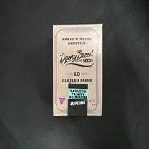 Grapenana Regular (Dying Breed Seeds) Cannabis Seeds