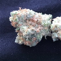 Grapefruit Auto (Discreet Seeds) Cannabis Seeds