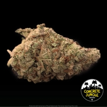 Gorilla G Feminised Cannabis Seeds