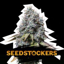 Sour Diesel (SeedStockers Seeds) Cannabis Seeds