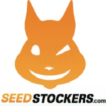 Fruit Cake Auto (SeedStockers Seeds) Cannabis Seeds