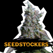 Sour Diesel Auto (SeedStockers Seeds) Cannabis Seeds