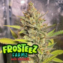 (Frosteez Farmz) Auto PopTartz Cannabis Seeds
