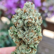 Frozen Cherry (Zmoothiez Geneticz) Cannabis Seeds