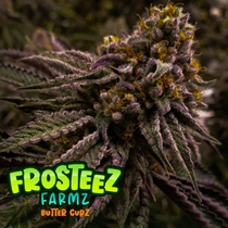  (Frosteez Farmz) Butter Cupz Cannabis Seeds