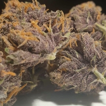 Forbidden Nectar (Zmoothiez Geneticz) Cannabis Seeds