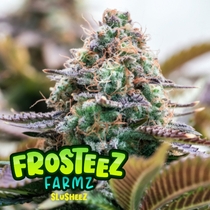 Slusheez (Frosteez Farmz) Cannabis Seeds