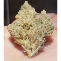 Supa Choopz (Zmoothiez Geneticz) Cannabis Seeds