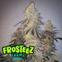 Smorez (Frosteez Farmz) Cannabis Seeds