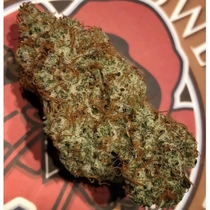 Spice Melange Auto (Night Owl Seeds) Cannabis Seeds
