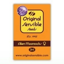 Original Sensible Alien Moonrocks Cannabis Seeds