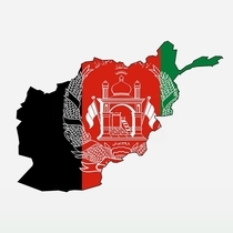 Panjsher(Afghan selection seeds) Cannabis Seeds