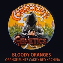 Bloody Oranges (Conscious Genetics) Cannabis Seeds
