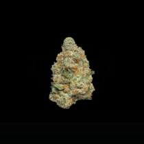 Apple Fritter Auto (Growers Choice Seeds) Cannabis Seeds