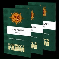 OG Kush (Barneys Farm Seeds) Cannabis Seeds