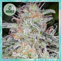 Blue Dream Auto (Double Seeds) Cannabis Seeds