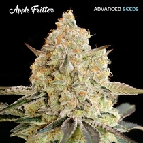 Apple Fritter(Advanced Seeds) Cannabis Seeds