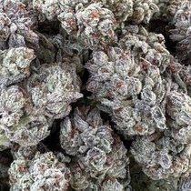 Double Fire Headband (Humboldt Seed Organisation Seeds) Cannabis Seeds