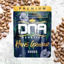 Hans Gruber(DNA Genetics Seeds) Cannabis Seeds