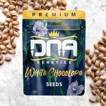 White Chocolope (DNA Genetics Seeds) Cannabis Seeds