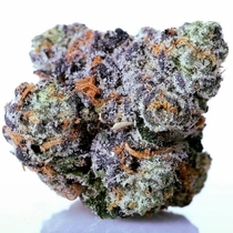 Fabulozo (StarFire Genetix) Cannabis Seeds