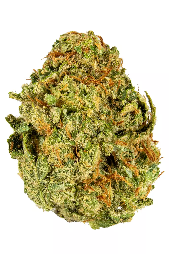 Gorilla Glue x Lemon Haze Feminised (Discreet Seeds) Cannabis Seeds
