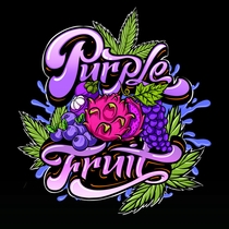 Purple Fruit (Sumo Seeds) Cannabis Seeds