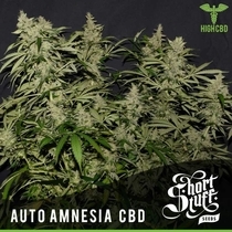 Auto Amnesia CBD (Short Stuff Seeds) Cannabis Seeds