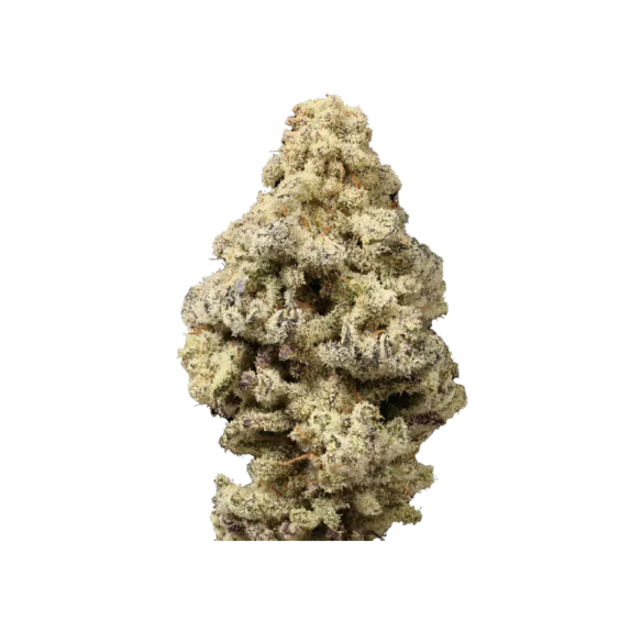 LIMITED EDITION Mac N Cheese (Growers Choice Seeds) Cannabis Seeds