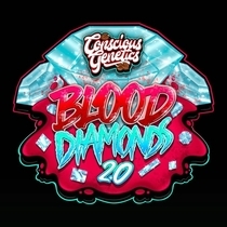 Blood Diamonds 2.0 (Conscious Genetics) Cannabis Seeds