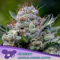 Green Apple Juice Auto (Anesia Seeds) Cannabis Seeds
