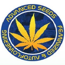  Feminised Collection #10 (3 x 2 FEM) (Cherry Pie Fast, Gelato #33 Fast, Zkittlez Fast ) (Advanced Seeds) Cannabis Seeds