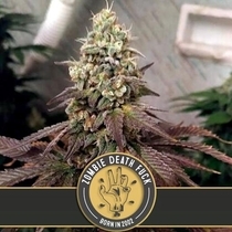 Zombie Death Fuck (BlimBurn Seeds) Cannabis Seeds