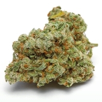 Banana Sherbet Double XL Auto (Growers Choice Seeds) Cannabis Seeds