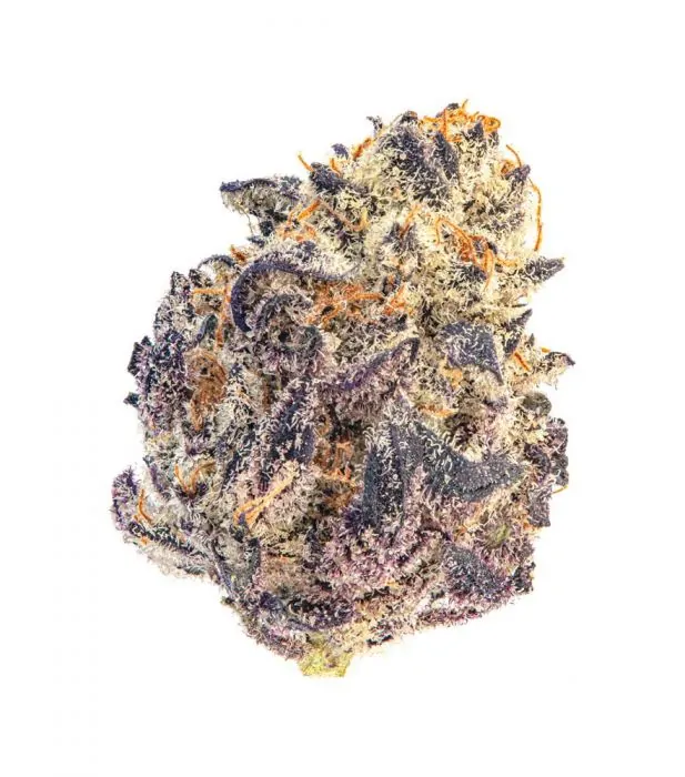 Cherry Mac Muffin (Growers Choice Seeds) Cannabis Seeds